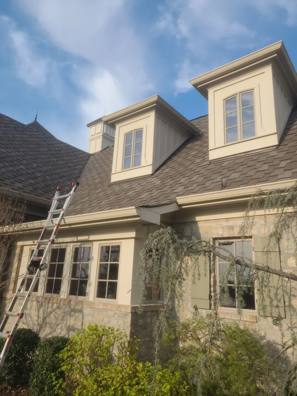 Professional crew on site — Wildwood estate